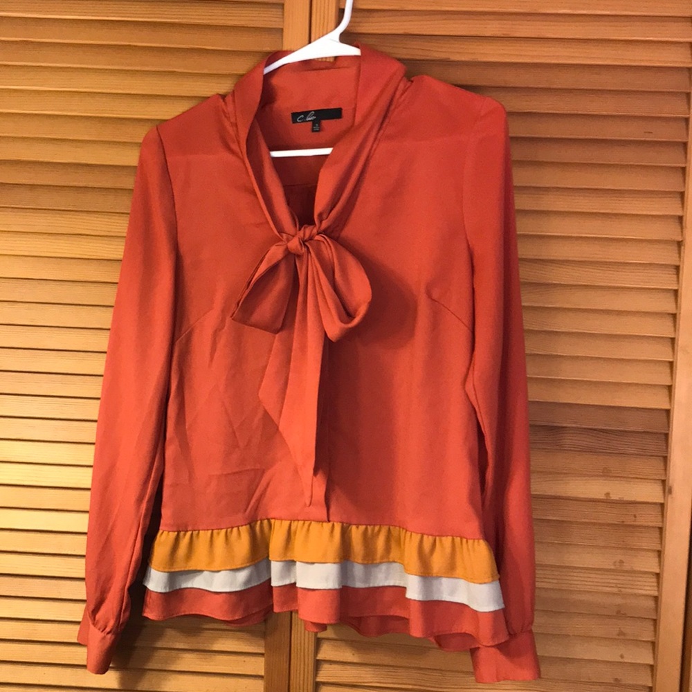 Burnt Orange Ruffle blouse